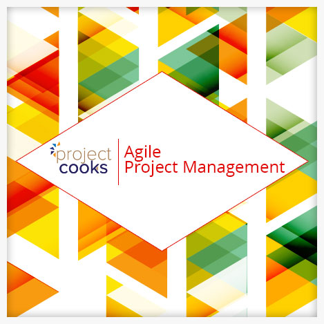 Agile Project Management